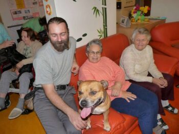 stafordšírský bulteriér canisterapie