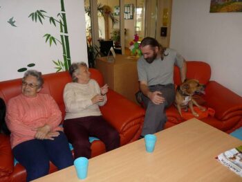 stafordšírský bulteriér canisterapie