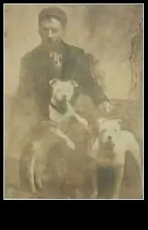 Historie Stafordšírského Bulteriéra
