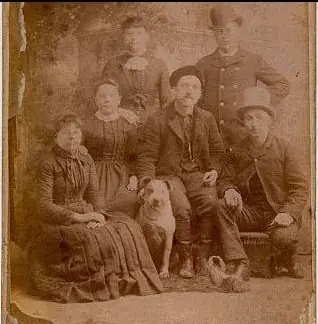 Historie Stafordšírského Bulteriéra