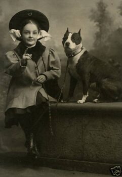 Historie Stafordšírského bulteriéra v obrazech 9 Historie Stafordšírského bulteriéra v obrazech 00e3e67ef9f31d3cfc1886afa2f71606