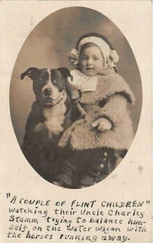 Historie Stafordšírského bulteriéra v obrazech 23 Historie Stafordšírského bulteriéra v obrazech 0168dc528870b0b5e0fc02857d3355ba