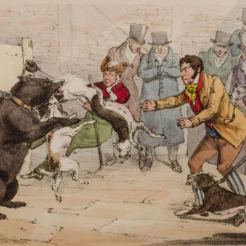 Historie Stafordšírského bulteriéra v obrazech 7 Historie Stafordšírského bulteriéra v obrazech 03363