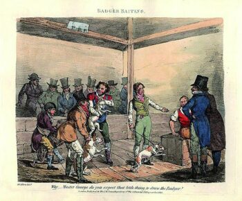 Historie Stafordšírského bulteriéra v obrazech 5 Historie Stafordšírského bulteriéra v obrazech 13