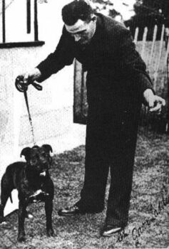 Historie Stafordšírského bulteriéra v obrazech 21 Historie Stafordšírského bulteriéra v obrazech 17b