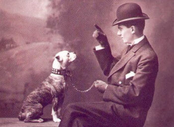 Historie Stafordšírského bulteriéra v obrazech 29 Historie Stafordšírského bulteriéra v obrazech 1900circabookcover 450