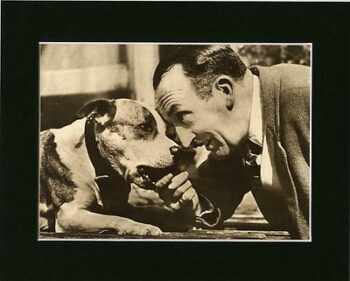 Historie Stafordšírského bulteriéra v obrazech 24 Historie Stafordšírského bulteriéra v obrazech 360 12f586df9e044dbb22ff81fca410a6de