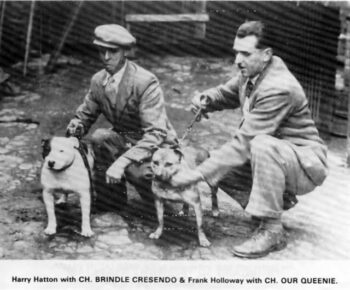 Historie Stafordšírského bulteriéra v obrazech 12 Historie Stafordšírského bulteriéra v obrazech 3fdad07e960e2d5d6ea2af1377e5077e