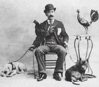 Historie Stafordšírského bulteriéra v obrazech 26 Historie Stafordšírského bulteriéra v obrazech 533be6289e9343de962044f858ce0692