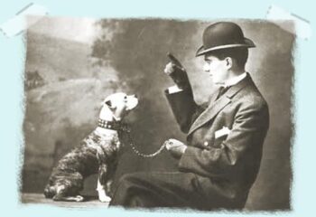 Historie Stafordšírského bulteriéra v obrazech 31 Historie Stafordšírského bulteriéra v obrazech 8093d12bc8c76238ad5ce1b6f5580f0b