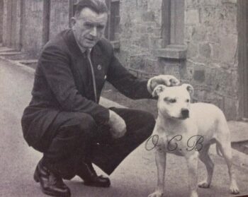 Historie Stafordšírského bulteriéra v obrazech 41 Historie Stafordšírského bulteriéra v obrazech E0578C06 4CBA 491B BD26 3E65C9F570DC