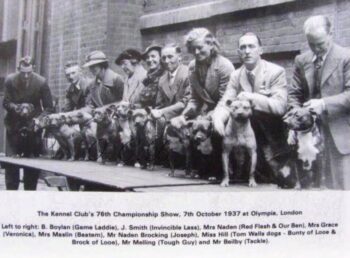 Historie Stafordšírského bulteriéra v obrazech 69 Historie Stafordšírského bulteriéra v obrazech Staffordshire Bull Terrier History