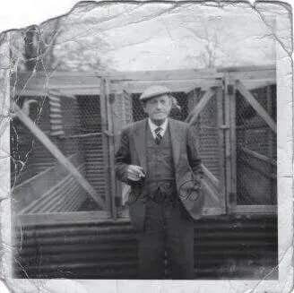 Historie Stafordšírského bulteriéra v obrazech 42 Historie Stafordšírského bulteriéra v obrazech ezgif 1 33a8c6aa59b5