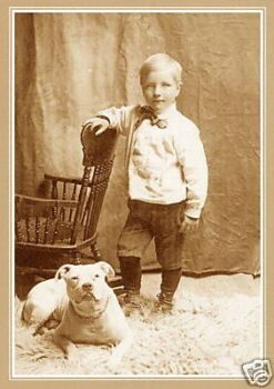 Historie Stafordšírského bulteriéra v obrazech 43 Historie Stafordšírského bulteriéra v obrazech f1445c217a80986fc82c204e068525d8