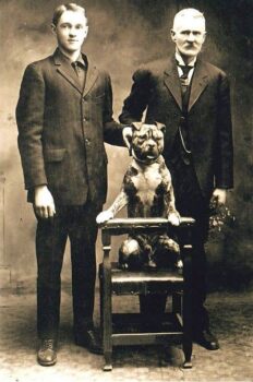 Historie Stafordšírského bulteriéra v obrazech 45 Historie Stafordšírského bulteriéra v obrazech ff61092076cee72e3ab14b941718b598