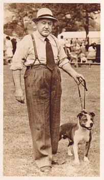 Historie Stafordšírského bulteriéra v obrazech 77 Historie Stafordšírského bulteriéra v obrazech history staffordshire bull terrier92 1