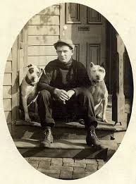 Historie Stafordšírského bulteriéra v obrazech 48 Historie Stafordšírského bulteriéra v obrazech images 1