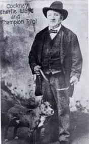 Historie Stafordšírského bulteriéra v obrazech 57 Historie Stafordšírského bulteriéra v obrazech images 10