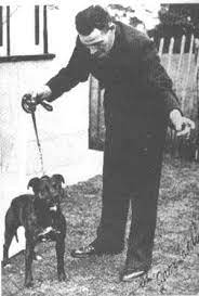 Historie Stafordšírského bulteriéra v obrazech 49 Historie Stafordšírského bulteriéra v obrazech images 2