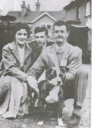 Historie Stafordšírského bulteriéra v obrazech 52 Historie Stafordšírského bulteriéra v obrazech images 5