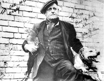 Historie Stafordšírského bulteriéra v obrazech 64 Historie Stafordšírského bulteriéra v obrazech mallen