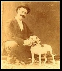 Historie Stafordšírského bulteriéra v obrazech 82 Historie Stafordšírského bulteriéra v obrazech stafie