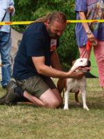 Staffordshire Bull Terrier