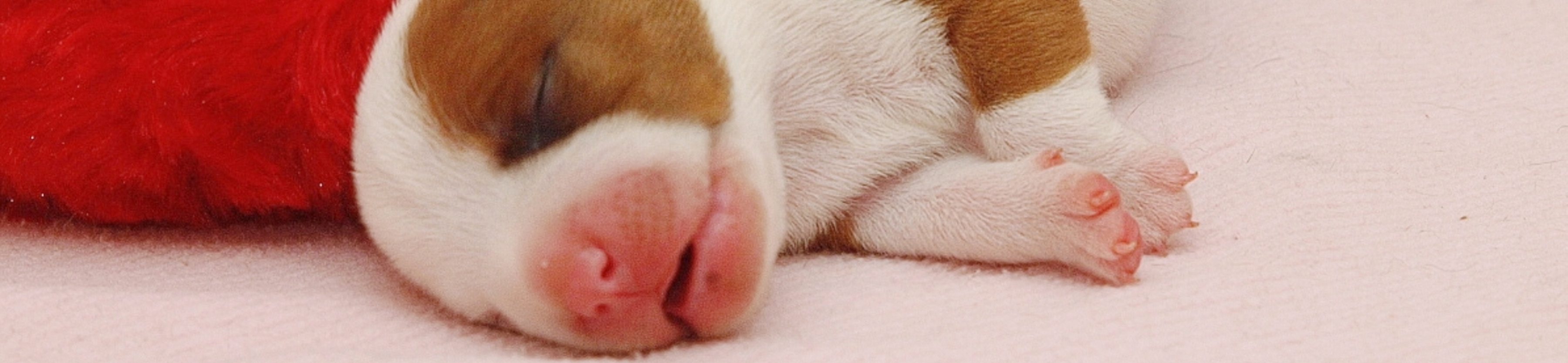 header_newC