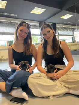 puppy yoga stafordšírský bulteriér