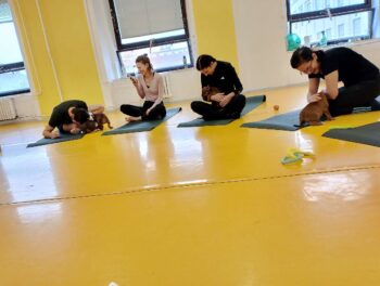 puppy yoga stafordšírský bulteriér