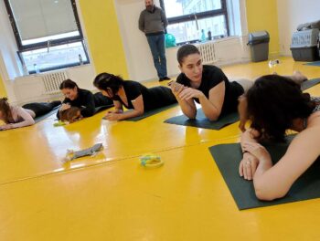 Yoga se štěňátky 60 Yoga se štěňátky puppy yoga stafordšírský bulteriér