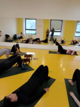 puppy yoga stafordšírský bulteriér