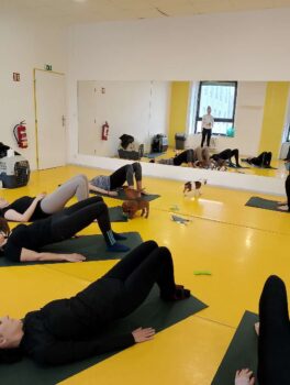 Yoga se štěňátky 46 Yoga se štěňátky puppy yoga stafordšírský bulteriér