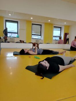 puppy yoga stafordšírský bulteriér