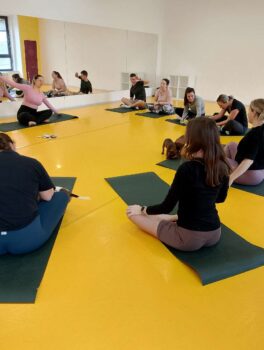 puppy yoga stafordšírský bulteriér