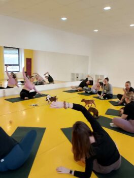 Yoga se štěňátky 40 Yoga se štěňátky puppy yoga stafordšírský bulteriér