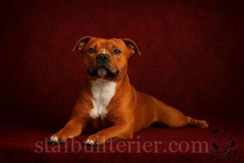 29354d98 a926 446b 88fc 410814ea505c