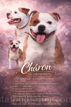 ChatGPT Image 31. 1. 2026 16 09 47