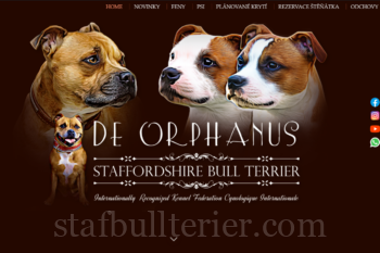 Web pro chovatele psů