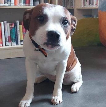 476610973 1910681236007658 4782812102949733463 n e1775220073417