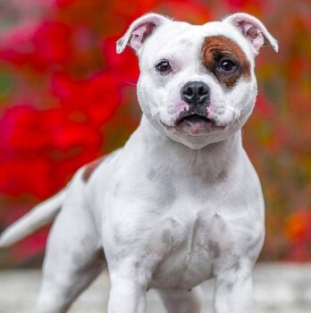 506729444 10223569236377351 1542362579524201496 n e1775220197517