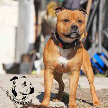 P2261319 e1775213635608