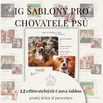 Tvorba a produkty pro chovatele psů