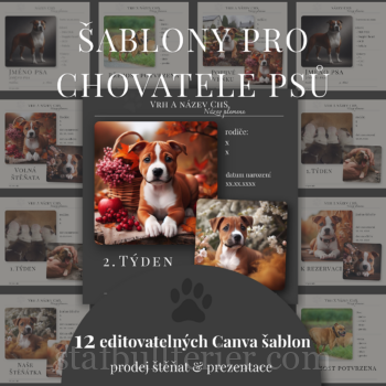 Grafika pro chovatele psů – loga, vizuální styl a materiály pro chovatelské stanice. Profesionální prezentace, která zaujme.