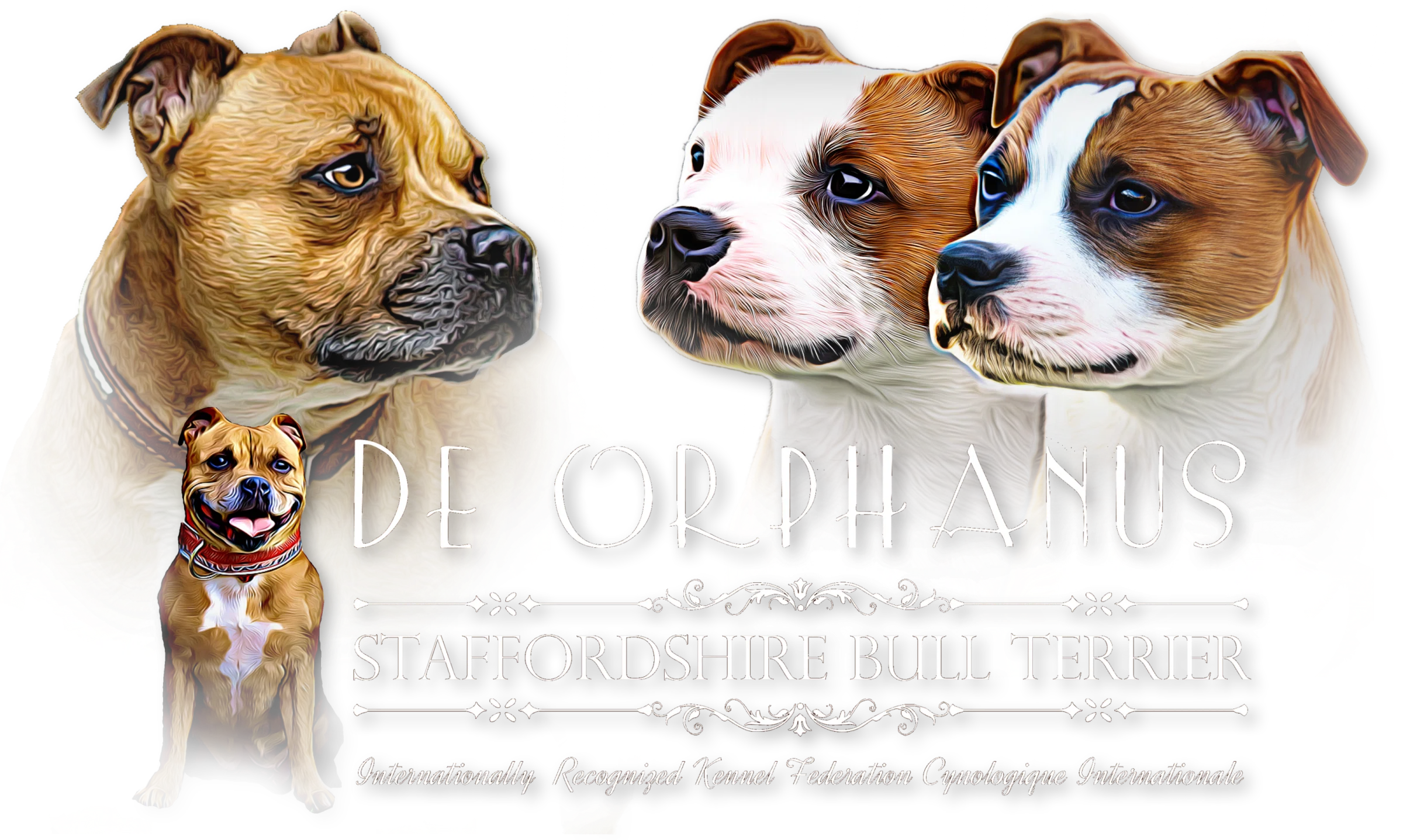 Staffordshire bull terrier de Orphanus